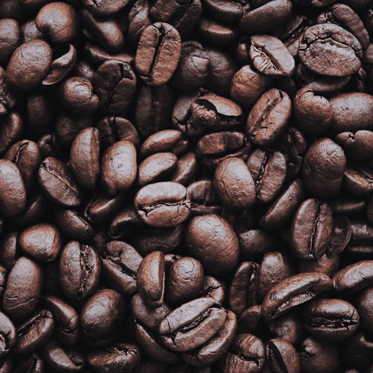 The History of Coffee